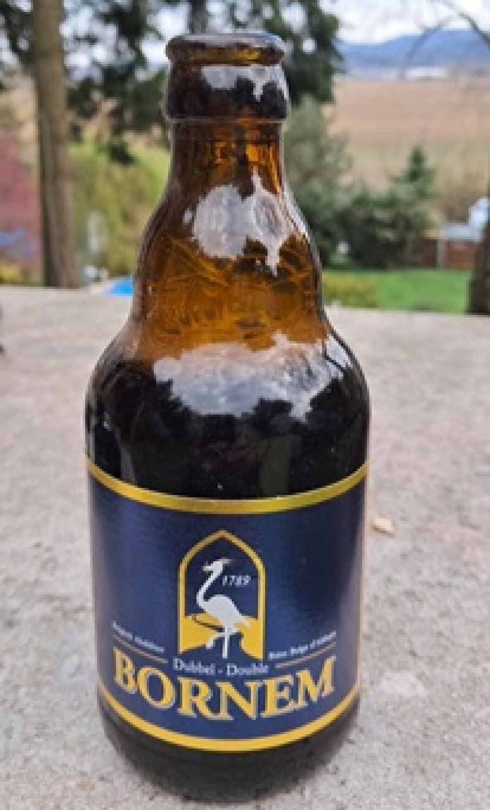 Bornem Dubbel