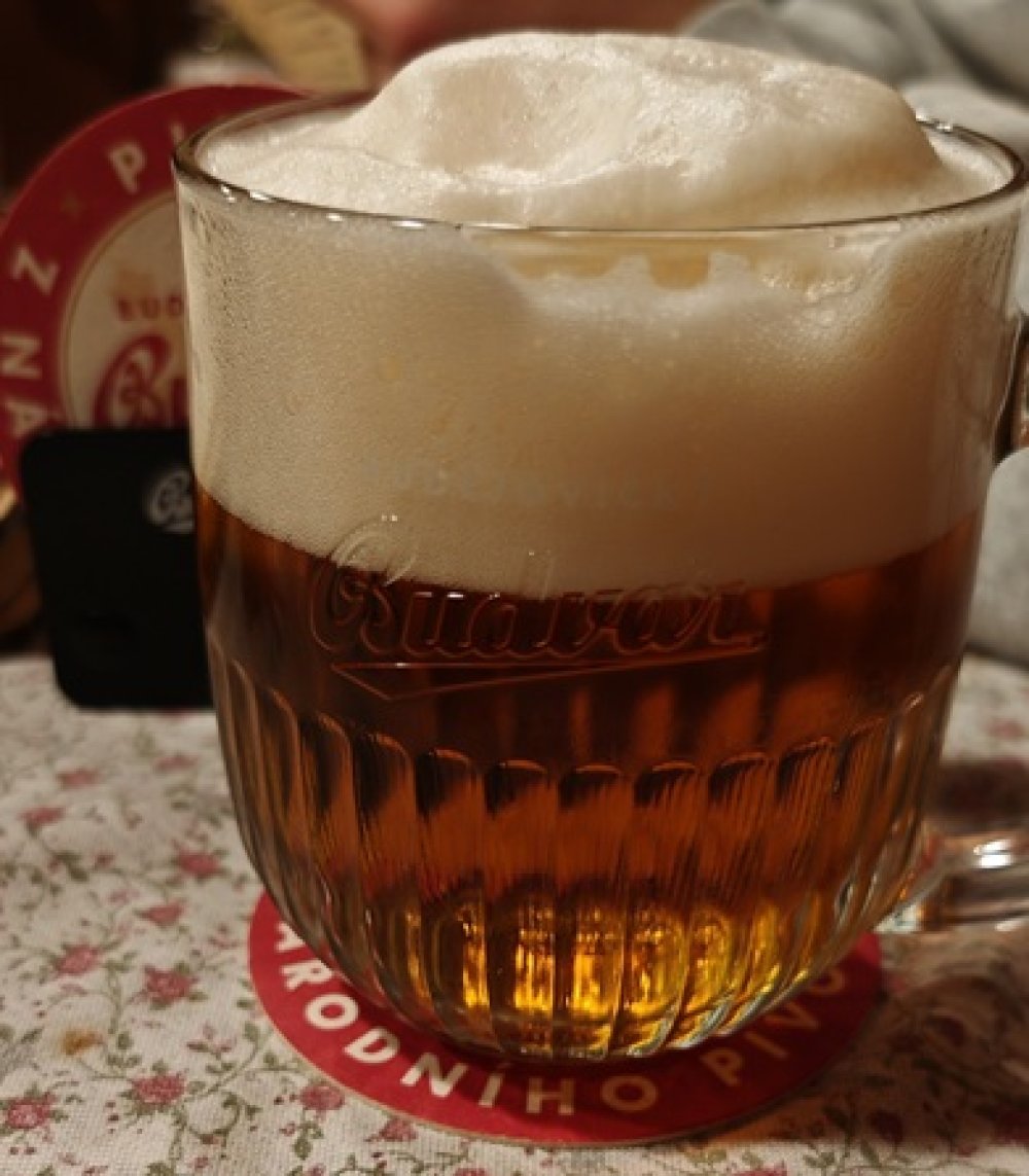 Budweiser Budvar 33