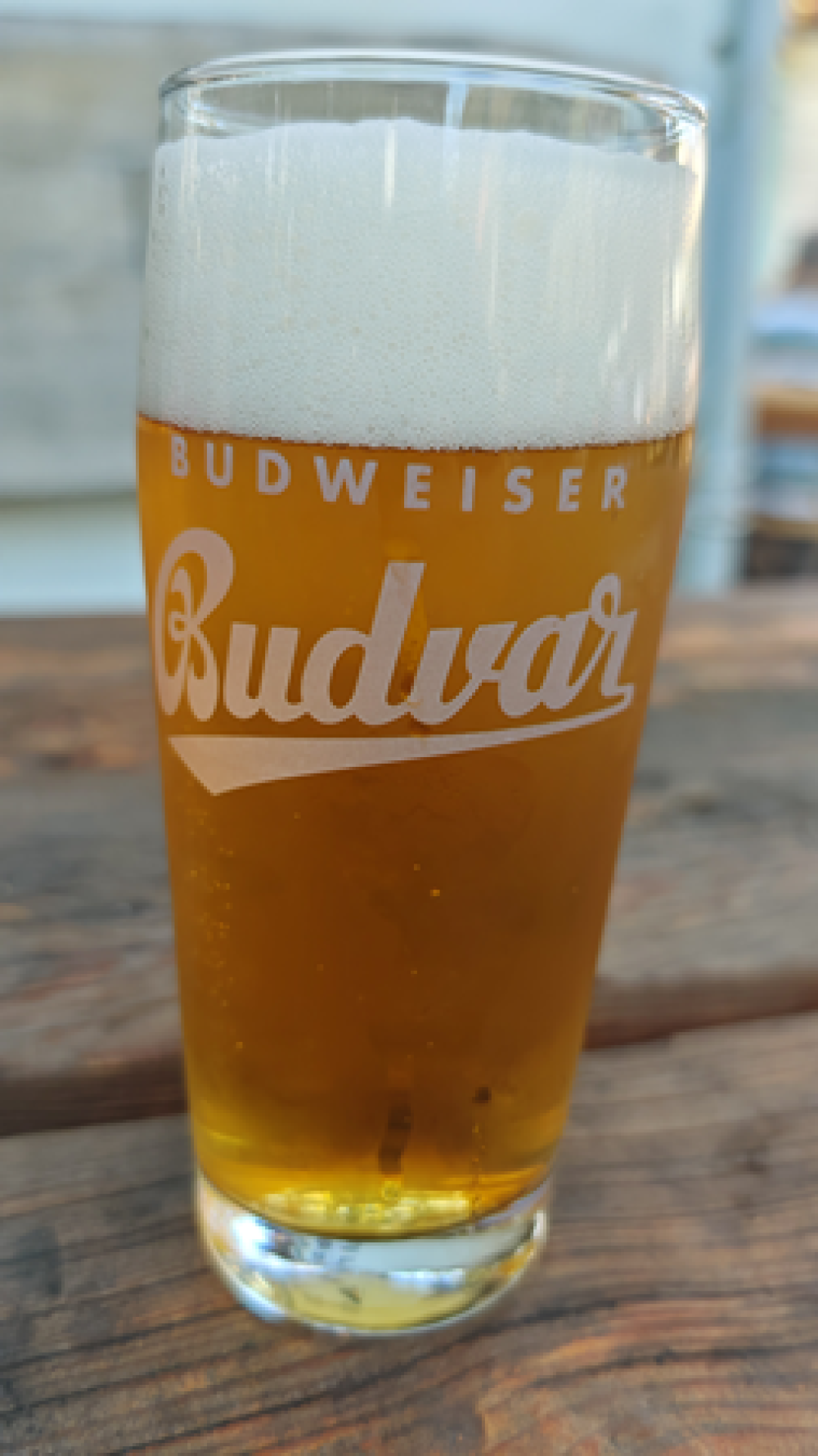Budweiser Budvar kroužkovaný ležiak